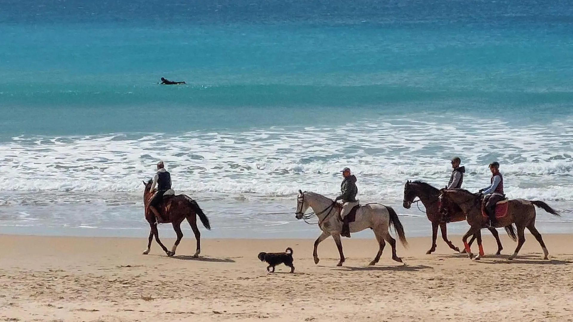 Pet Friendly Home In Chiclana De La Frontera 0*,  Spain